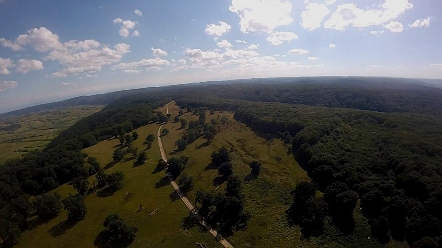Breite Oak Reserve Sighișoara