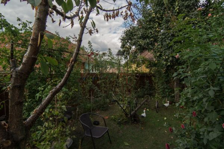 Sighișoara Pensiunea Cristina și Pavel (Leonhardt House) in the garden